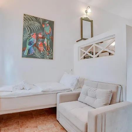 Hotel Palm Heaven Boutique