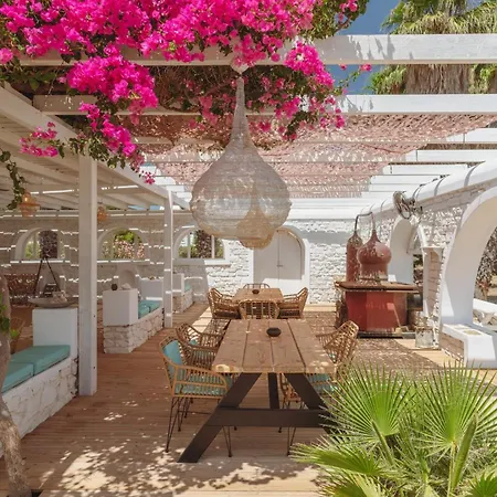 Hotel Palm Heaven Boutique *