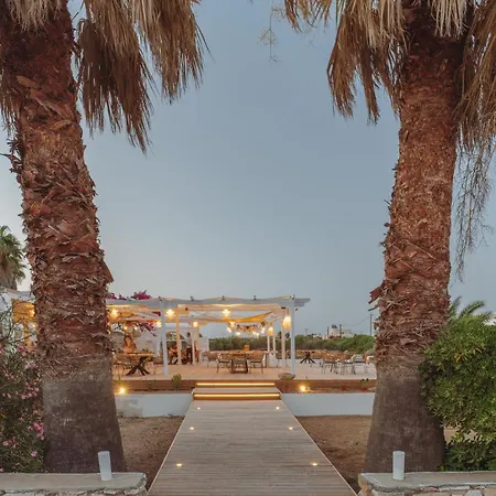Hotel Palm Heaven Boutique